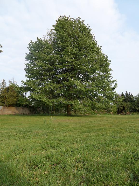 Villa Bijenhof Varsenare Quarto foto